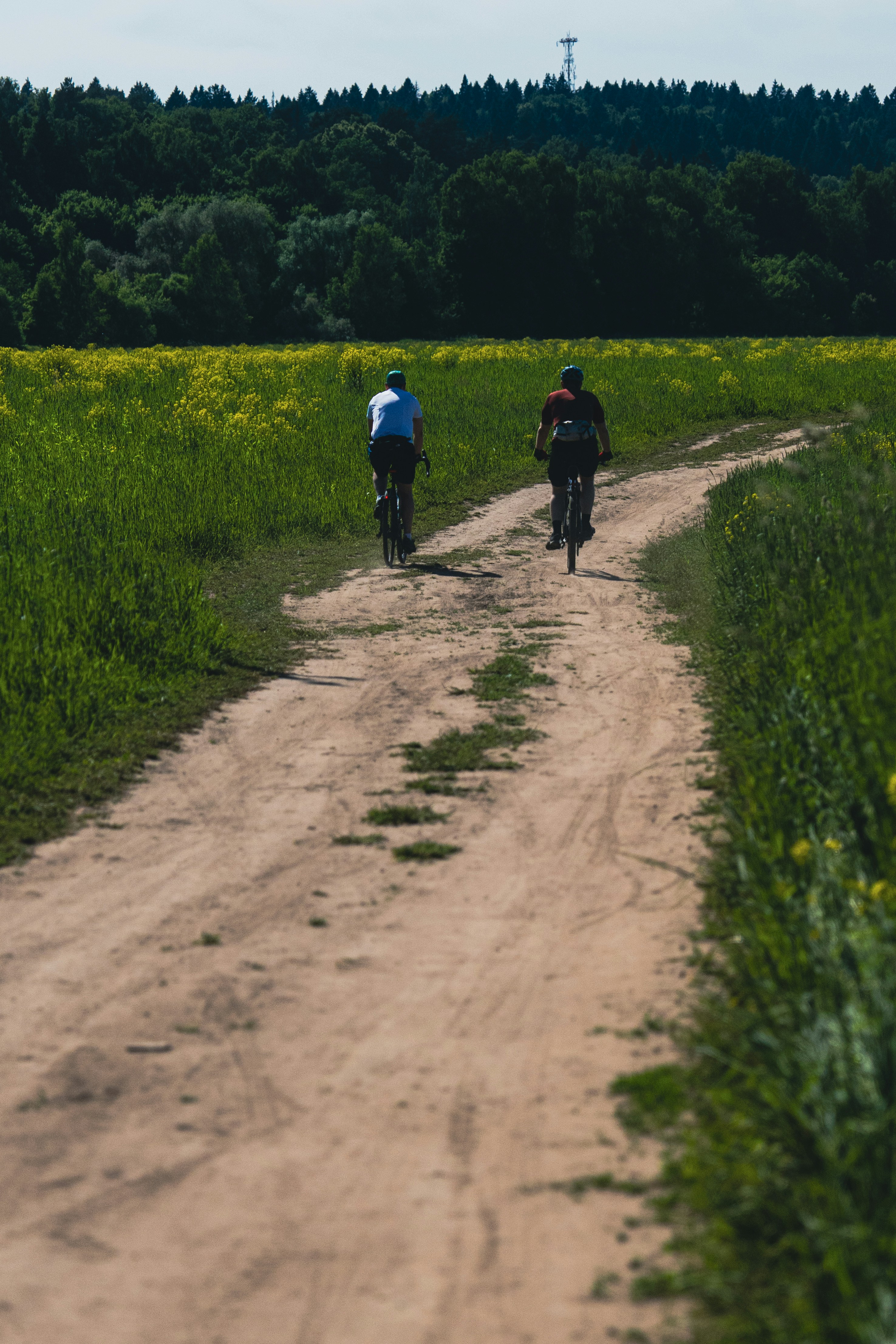 Cyclisme en campagne